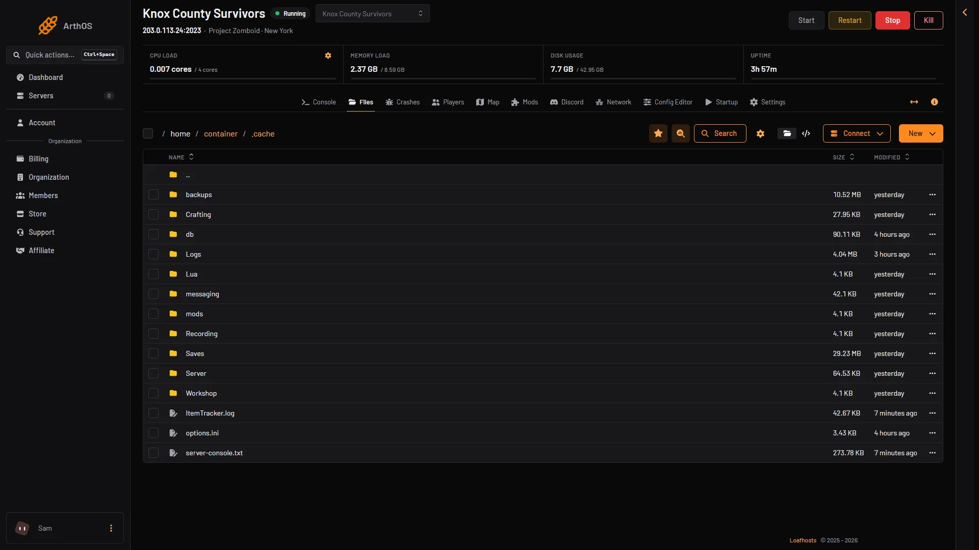 Папка .cache с Logs и server-console.txt в панели Loafhosts